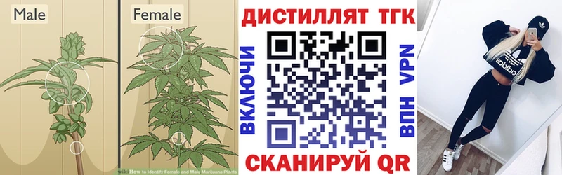 ТГК вейп  Купить закладки  Дудинка 