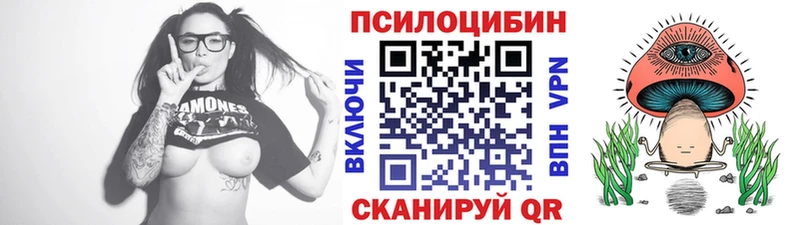 Купить закладки  Дудинка  Псилоцибиновые грибы мухоморы 